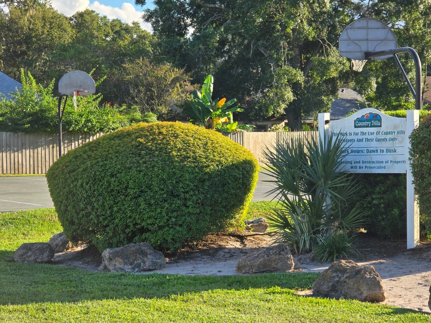 Park & Playground