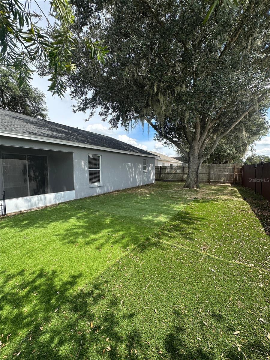 Backyard