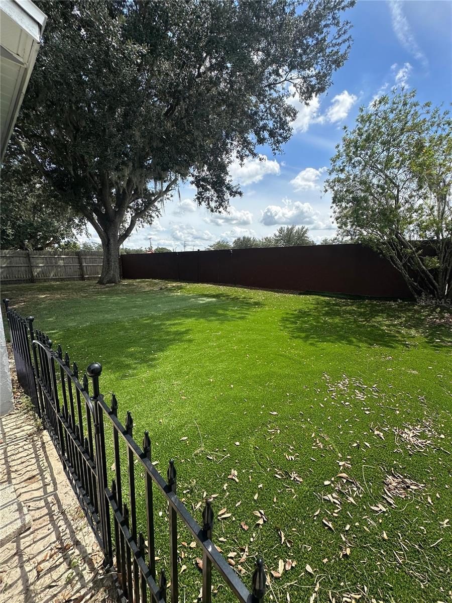 Backyard from Front