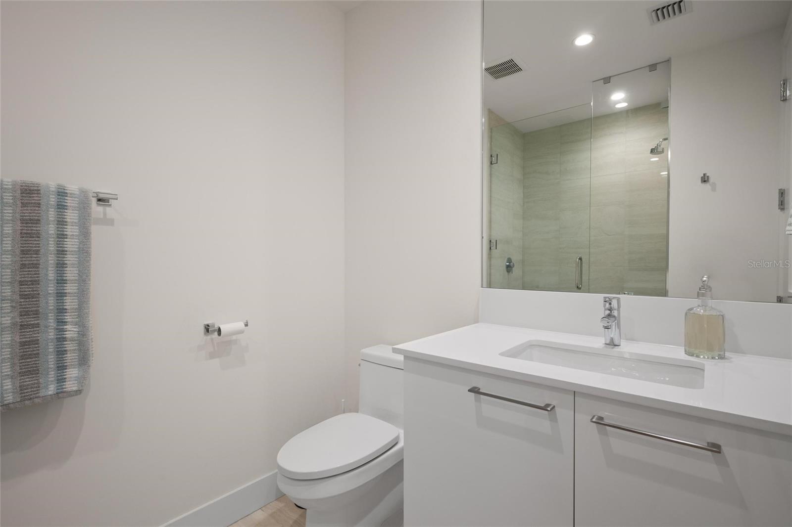 hall bathroom