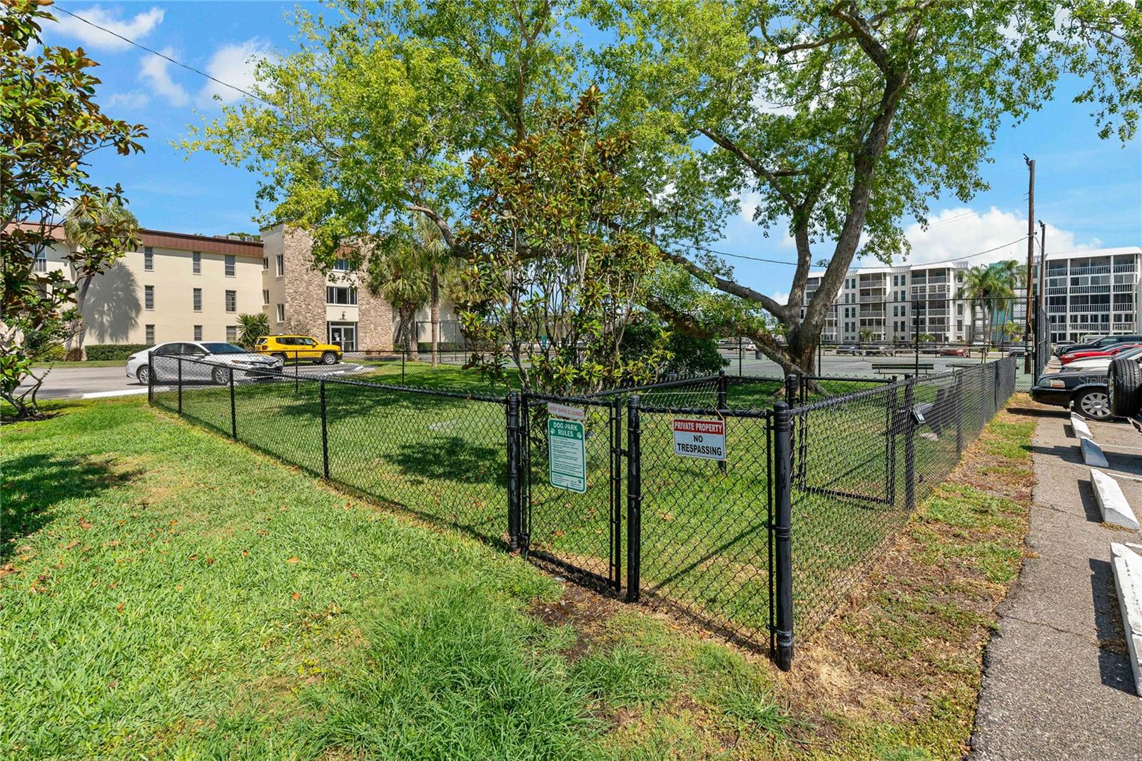 Dog Park