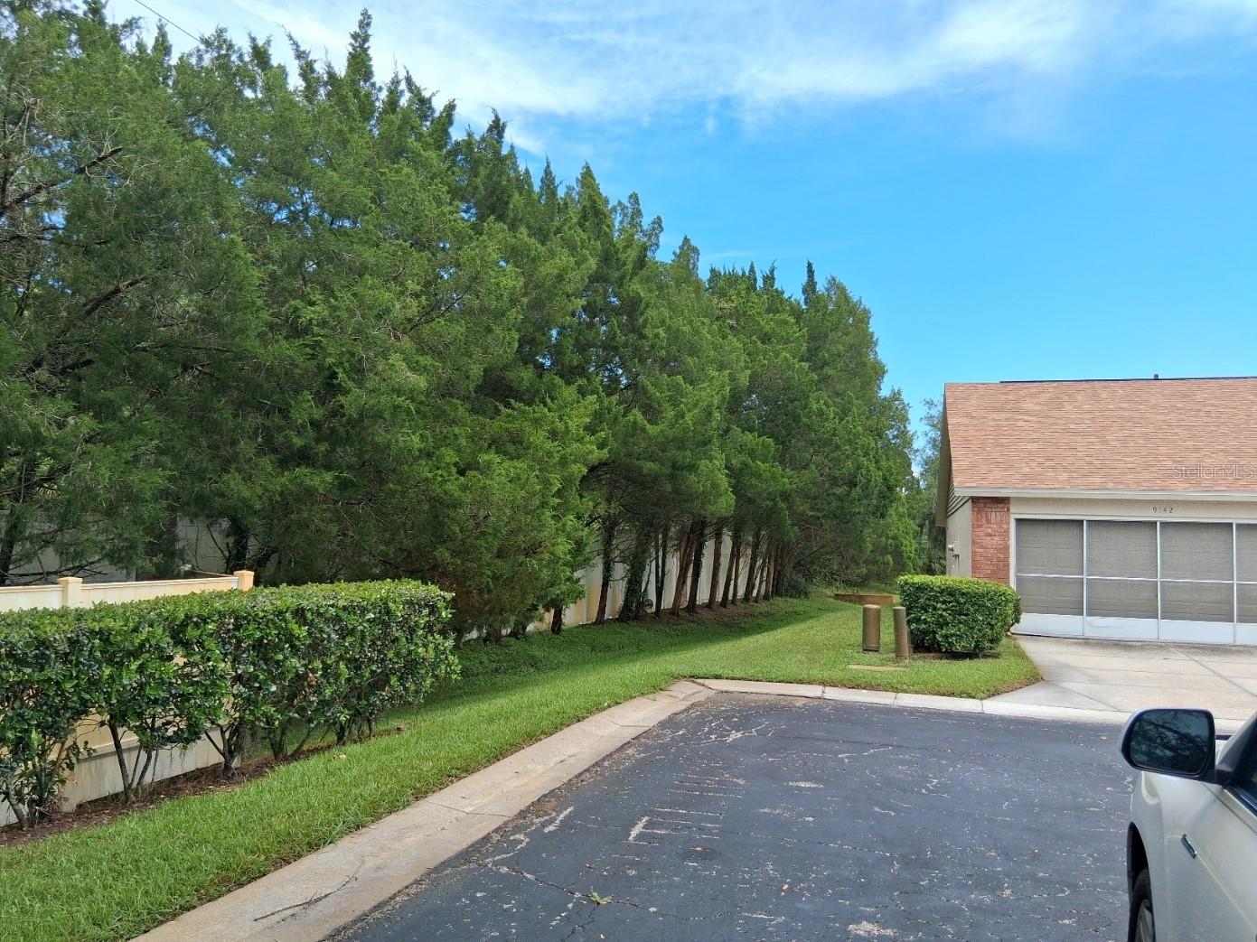 Side Yard