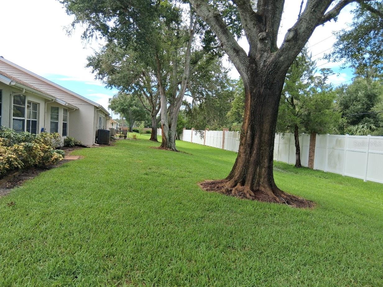View From Front Door