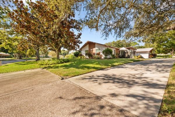 Front Lawn Area
