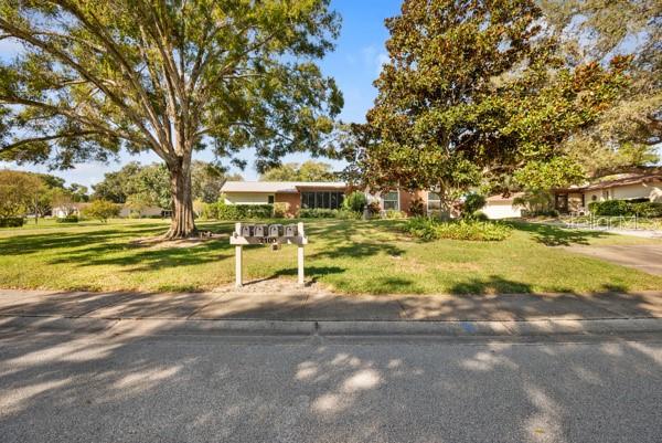 Front Lawn Area