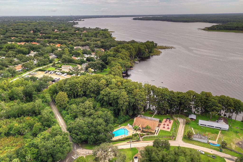 Lake Tarpon View