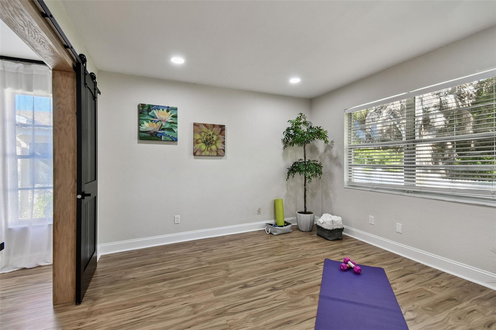 Bonus Room