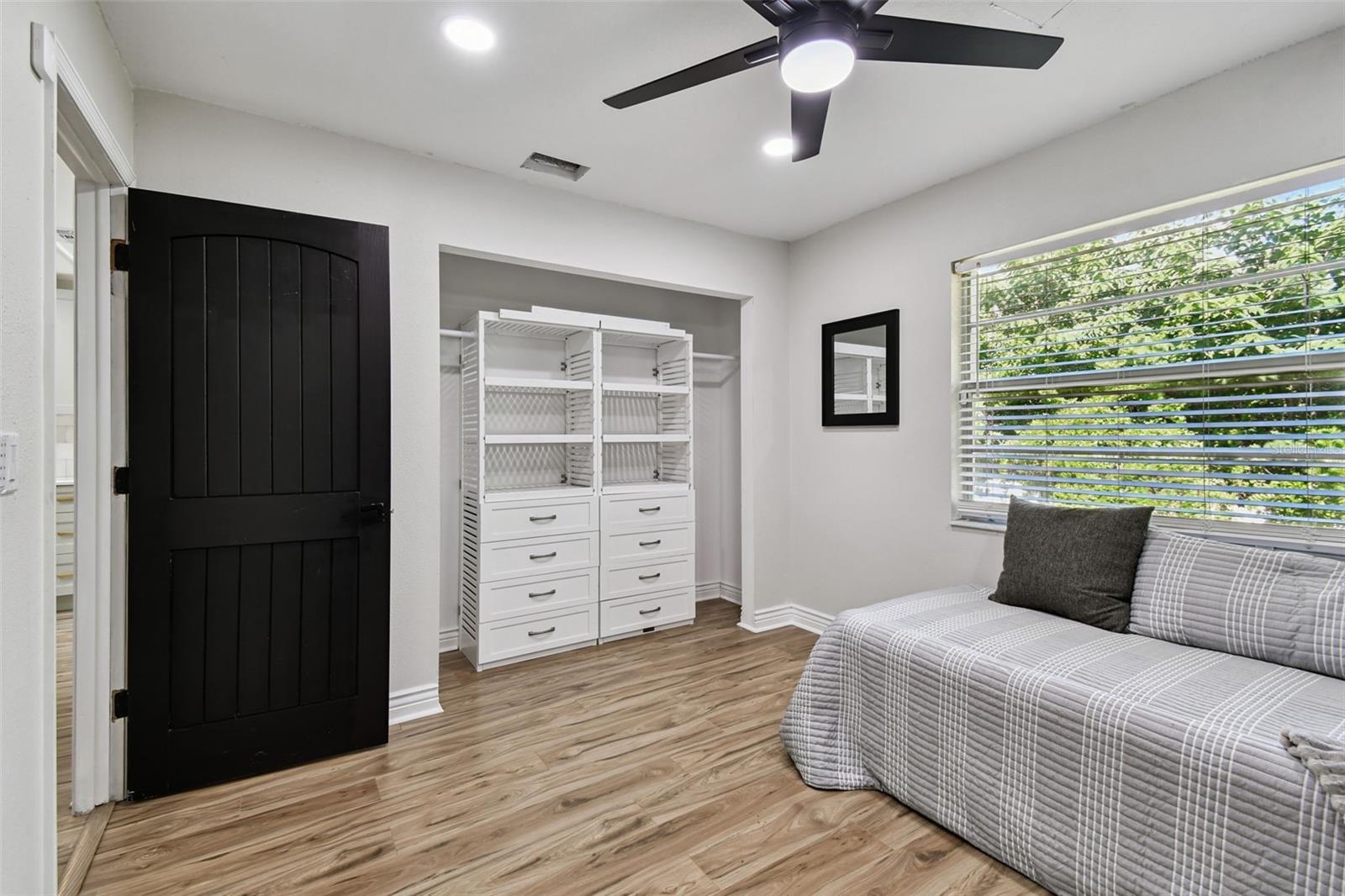 Nice closet built-ins
