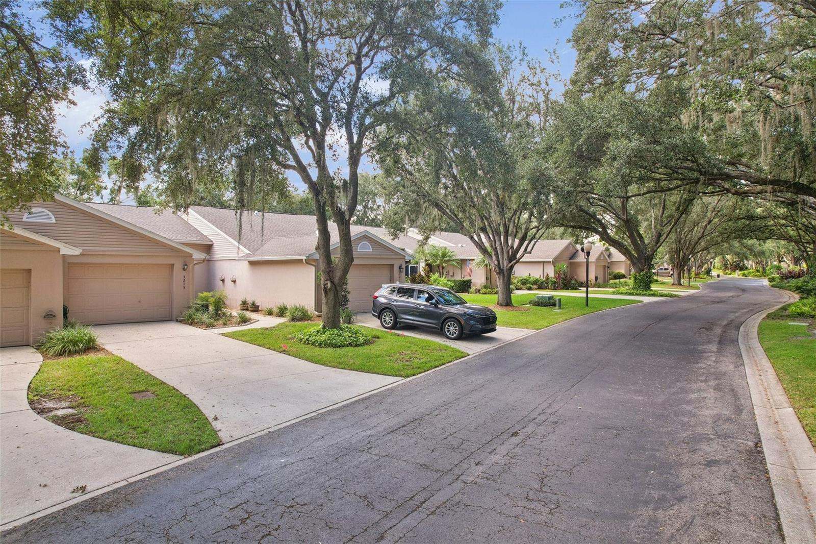 Tree lined street