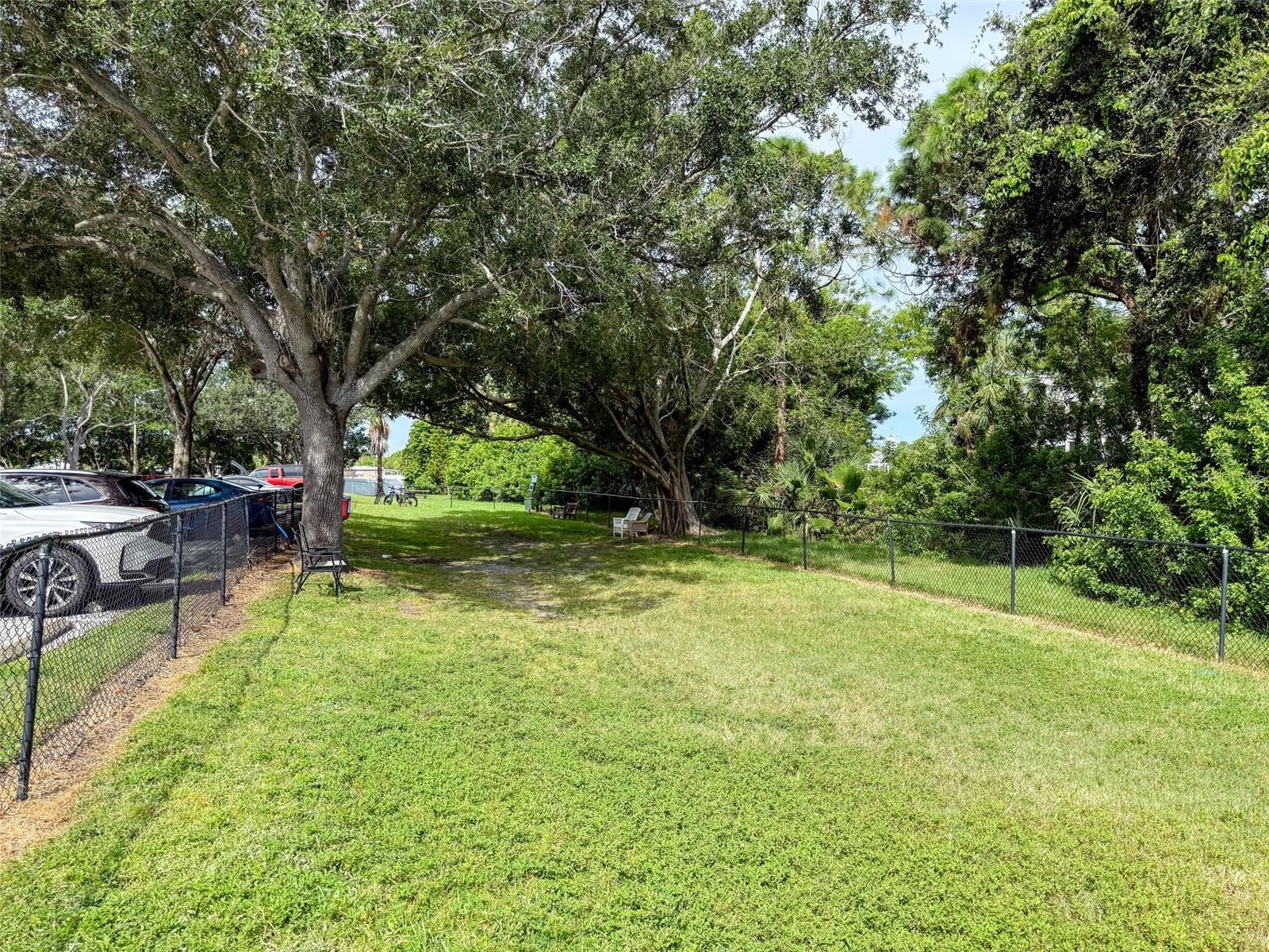 Dog Park