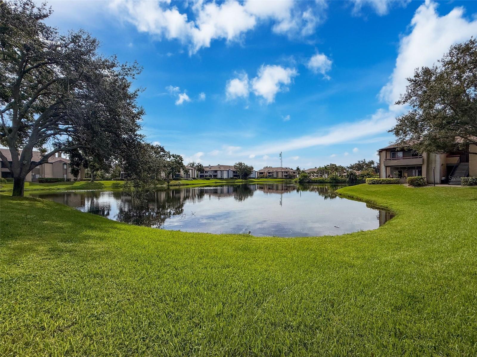 Pond View From Front Patio
