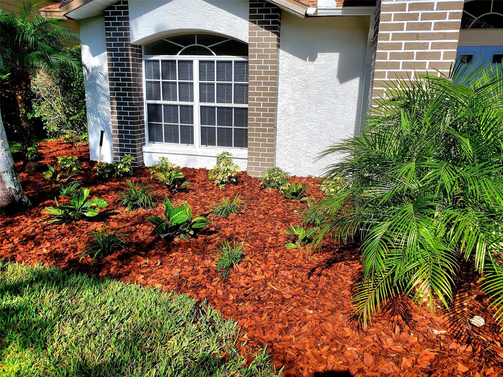 NEWLY LANDSCAPED