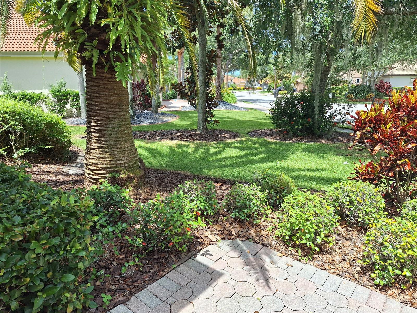Secluded by Landscaping