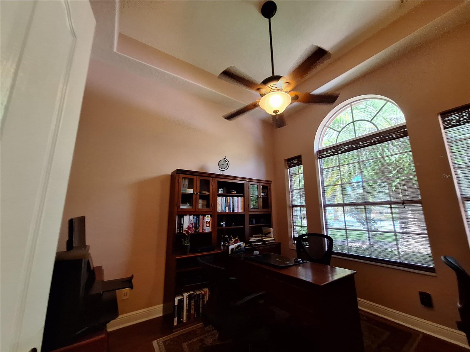 Front Office with Tray Ceiling