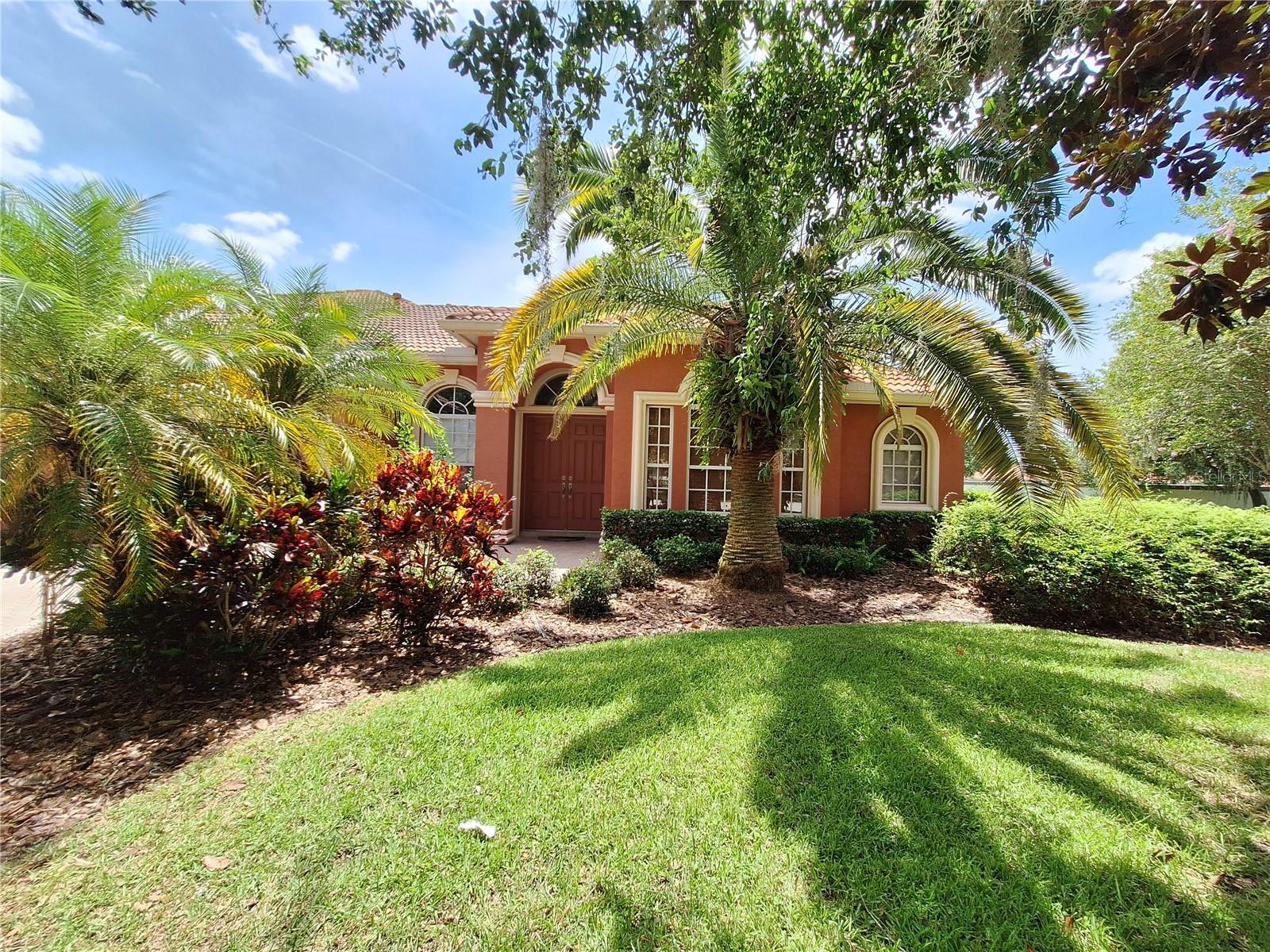 Lush Tropical Landscaping