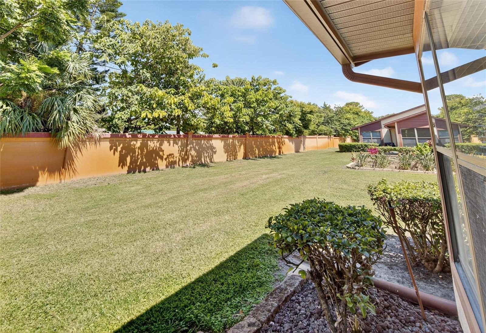 back yard