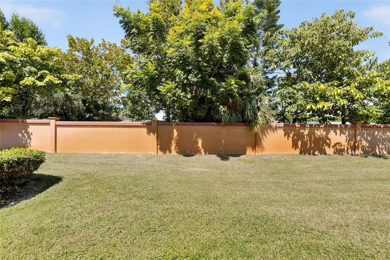 back yard