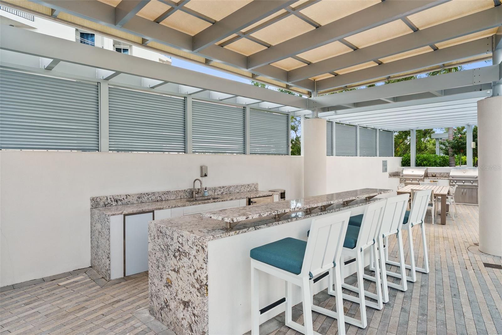 Covered Bar and entertainment spot