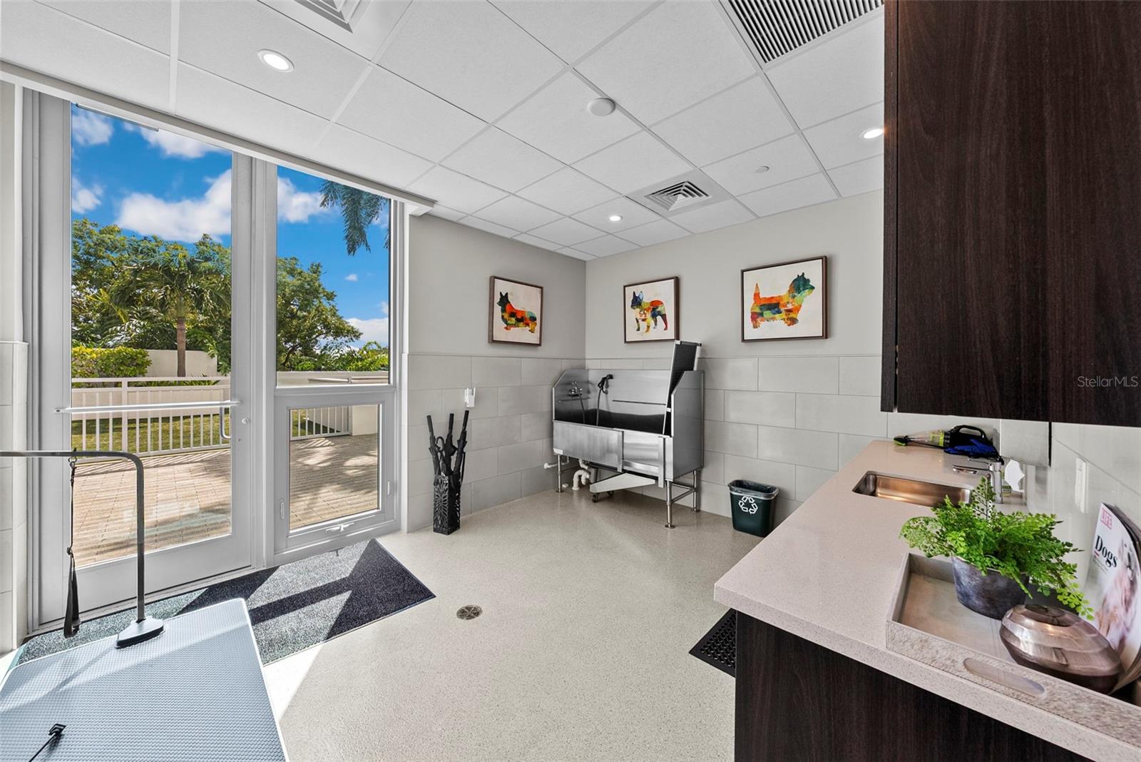 Dog Spa Room