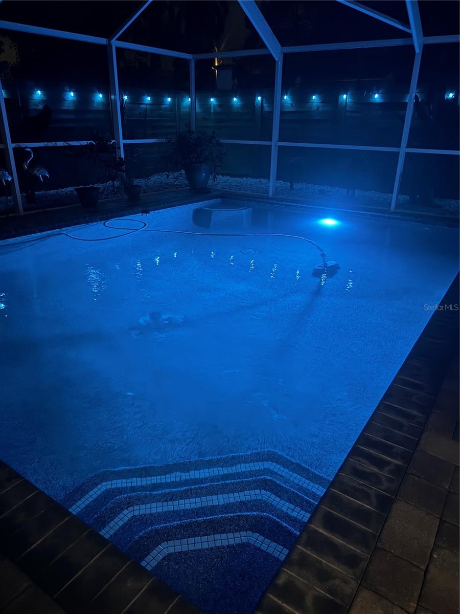 Enjoy your beautiful heated or cooled salt water pool year round - Blue lights