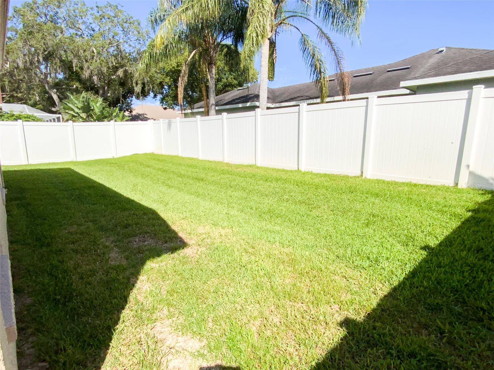 Rear Yard