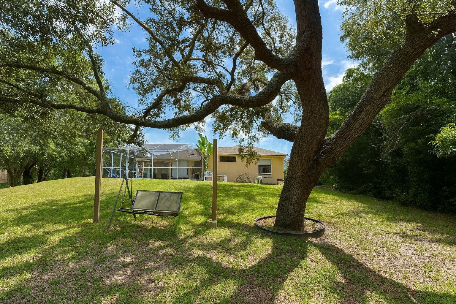 Back Yard Staged