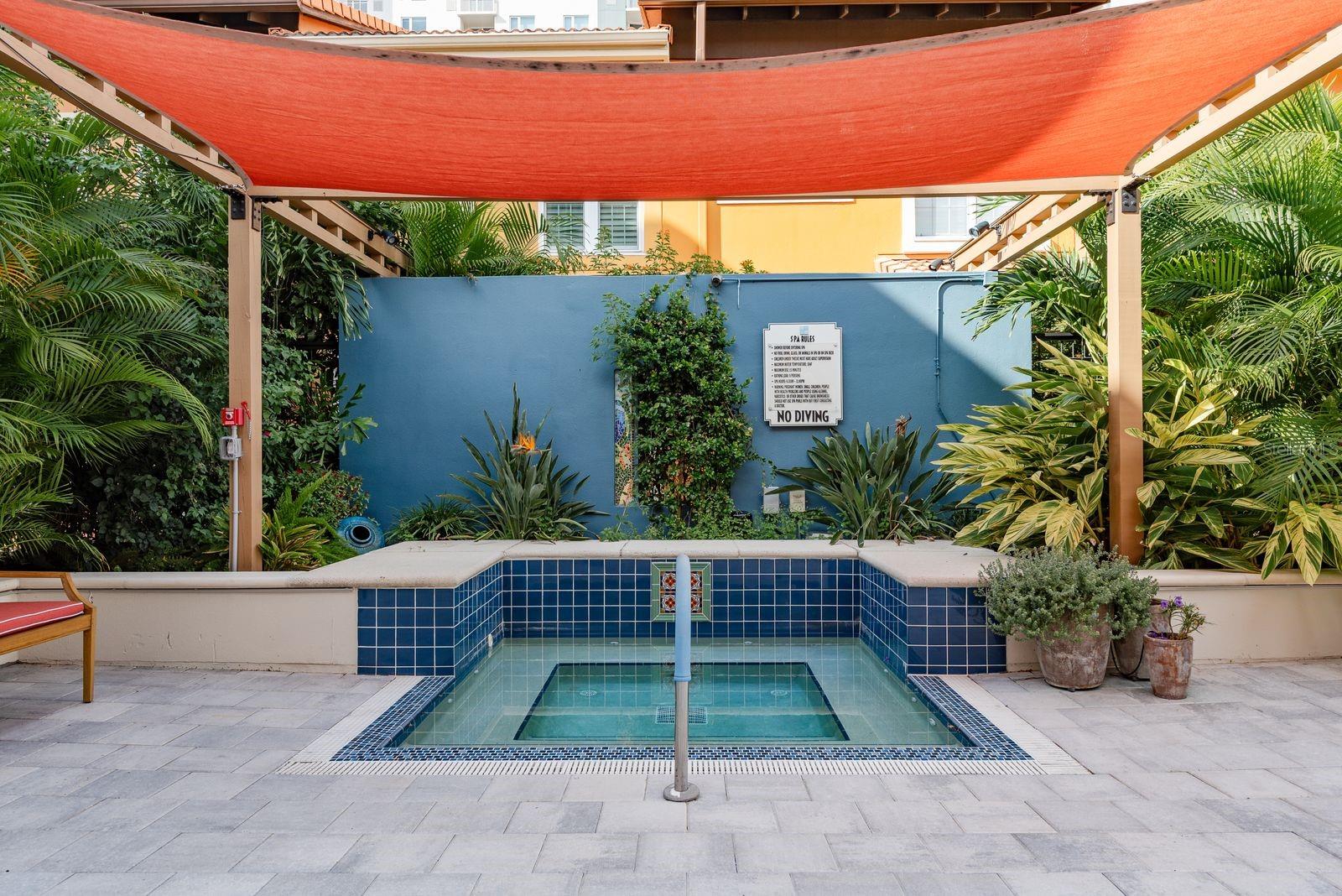 Incredible Hot Tub and Pool