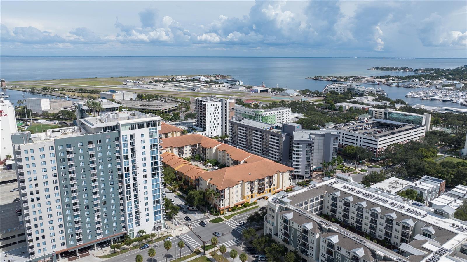 Overlooking Tampa Bay