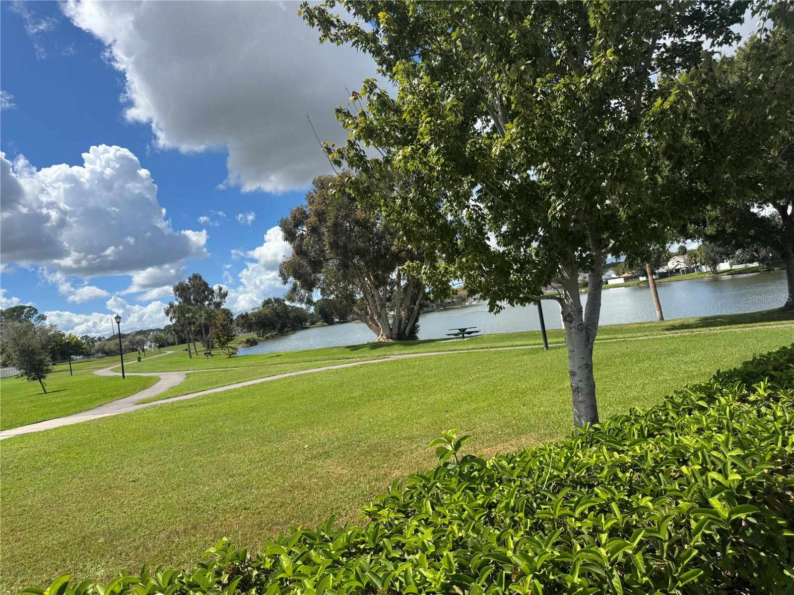 Plantation Area
