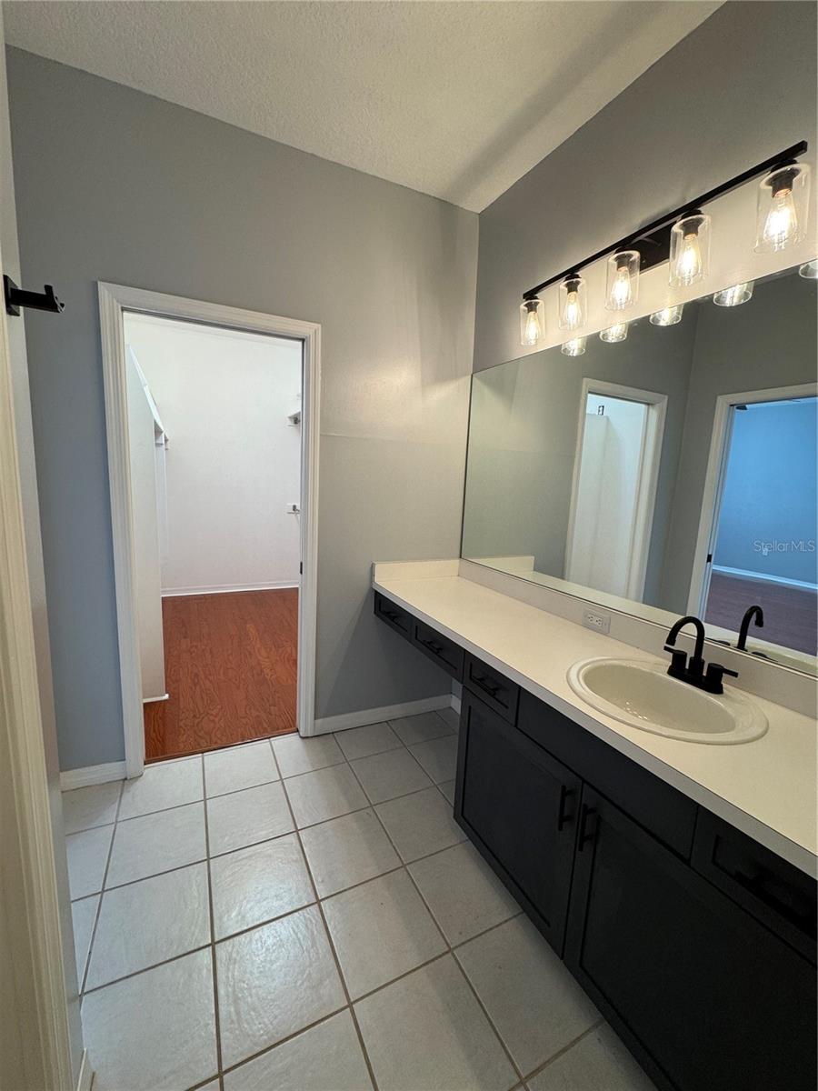Master bath and walk in closet