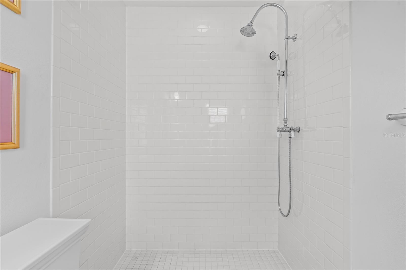 Walk in Shower