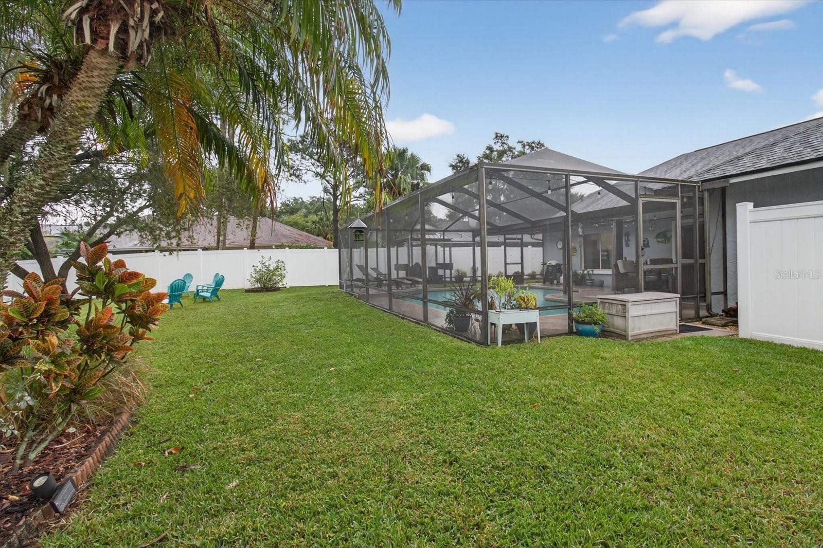 Backyard