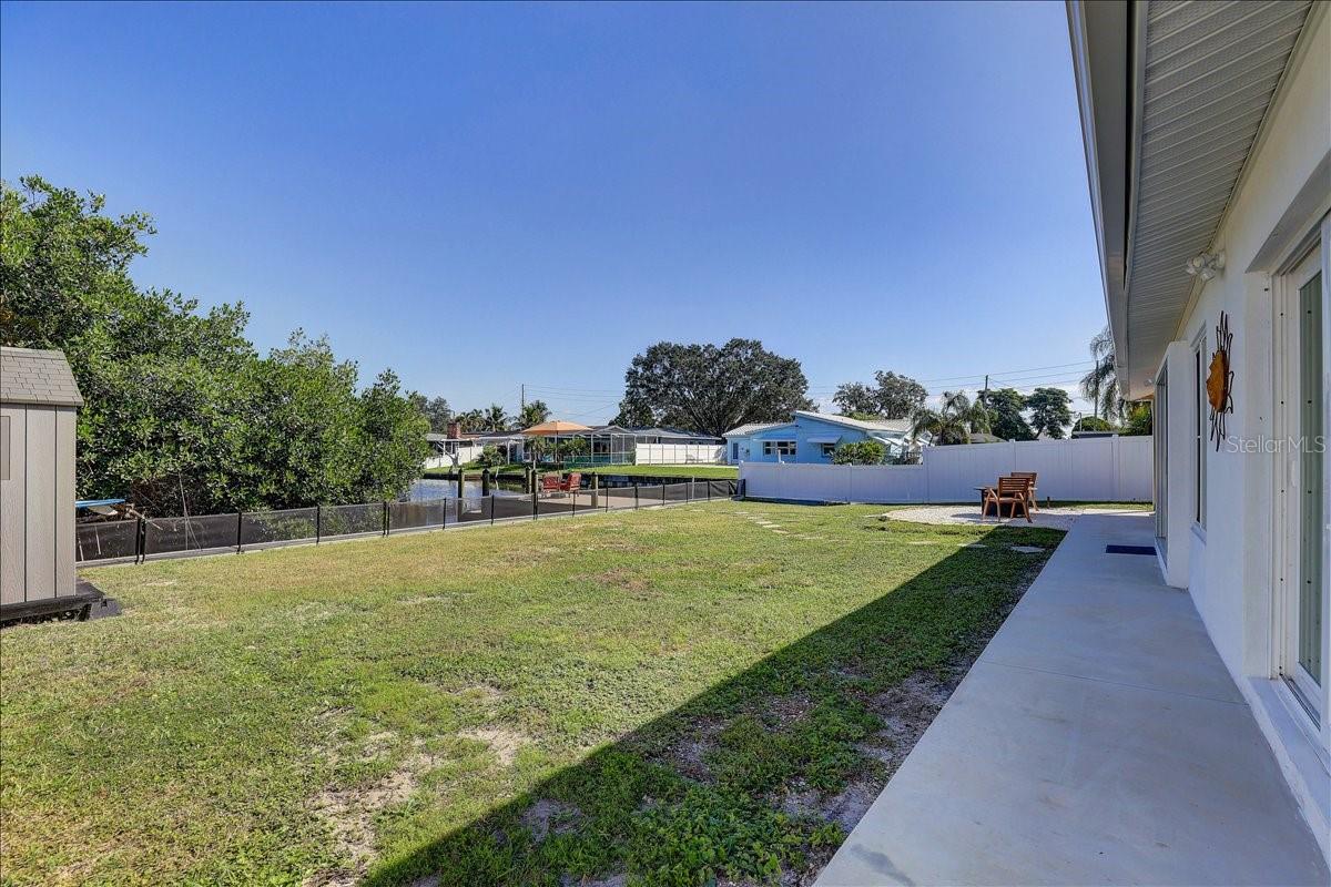 Back yard