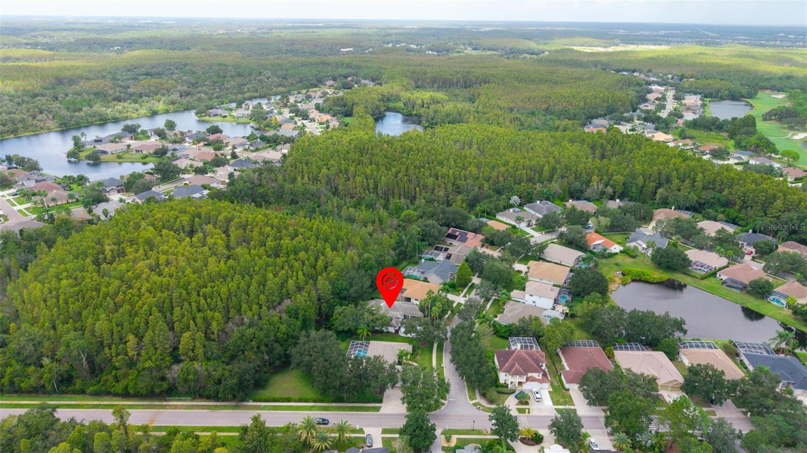 W7879266