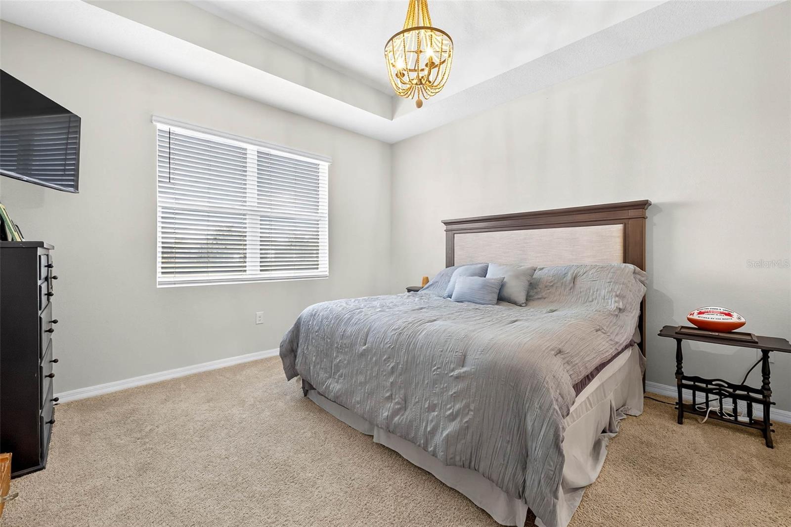 Primary suite with tray ceiling