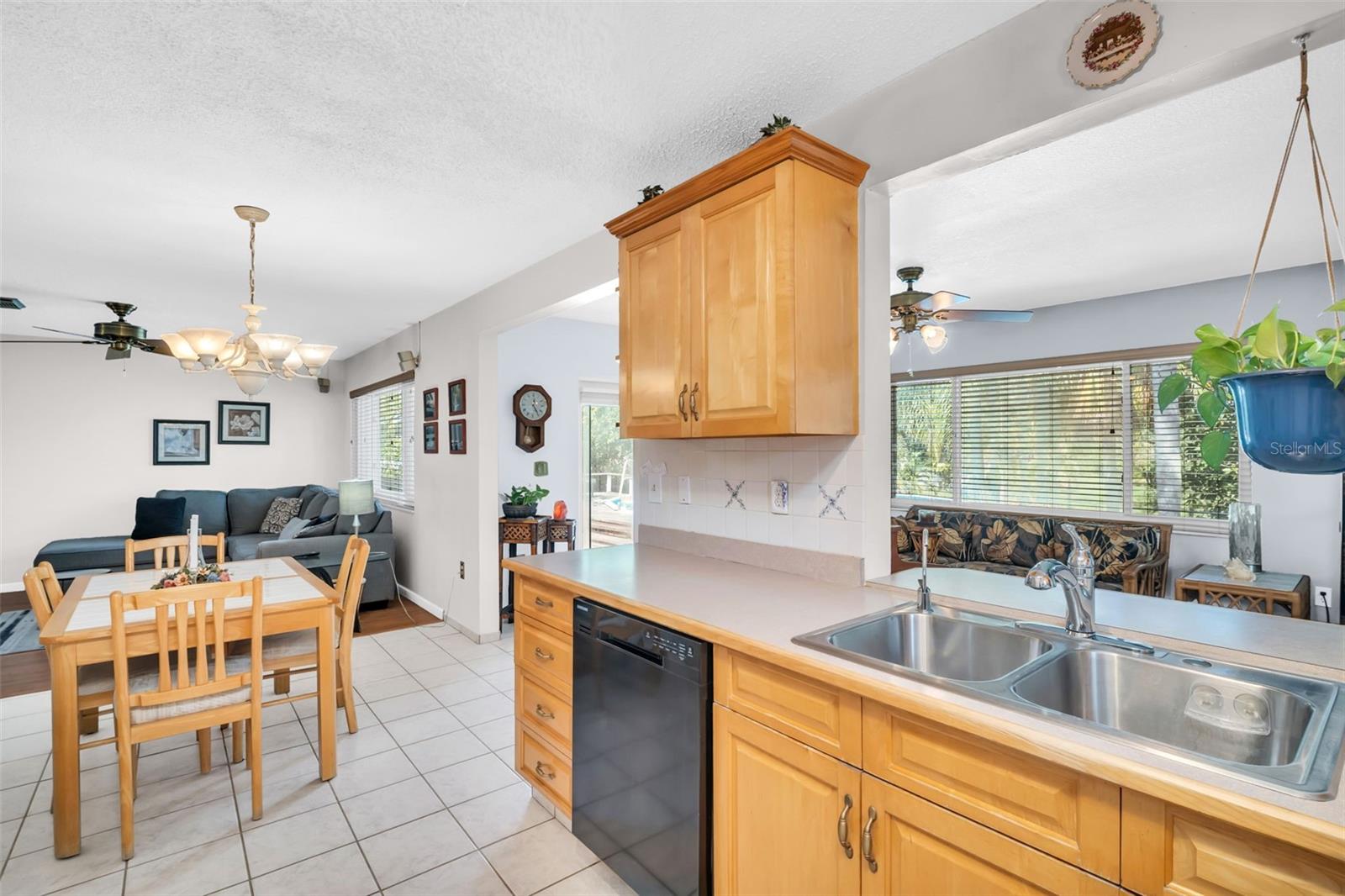 kitchen/dining/living room view