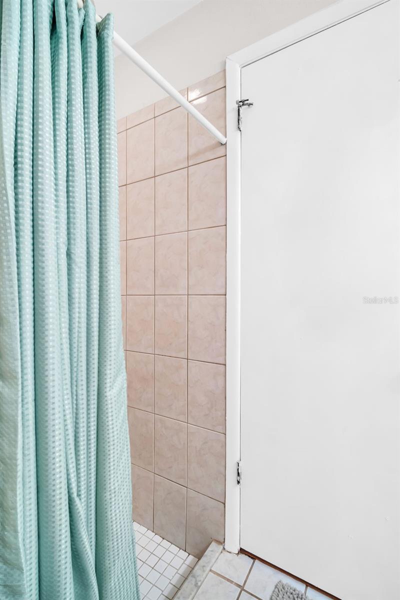 Primary Ensuite Shower