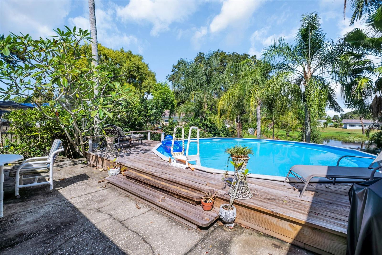 Pool and Pond Views!