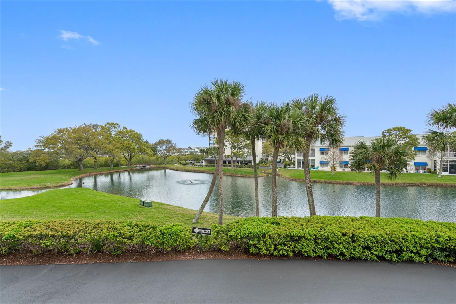 Peaceful pond view