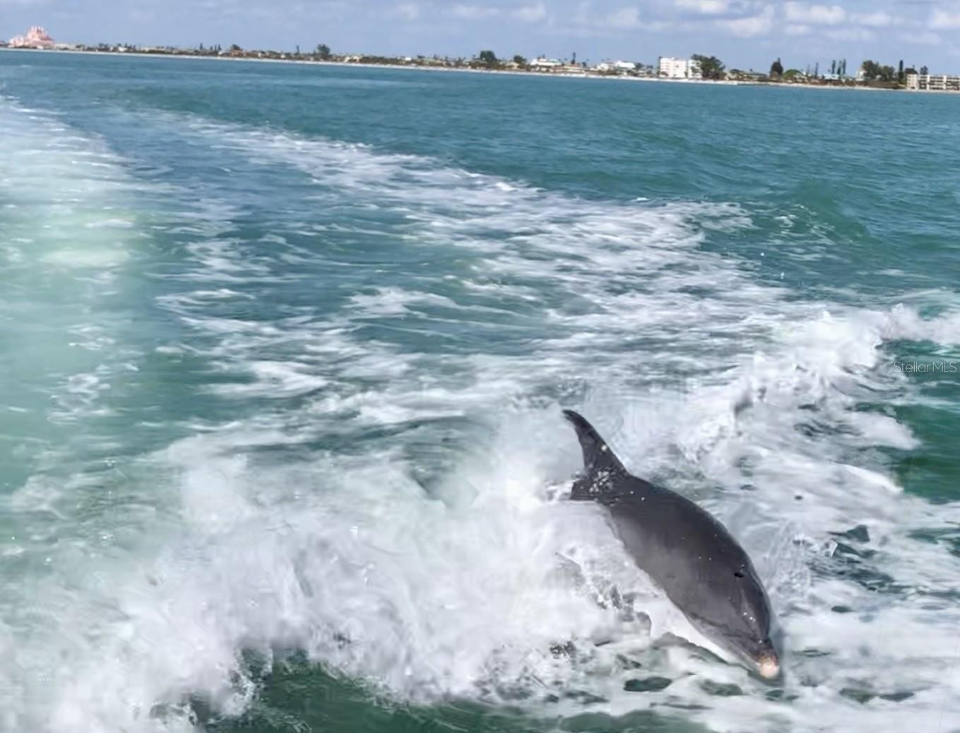 Get Ready for Waterfront Adventures