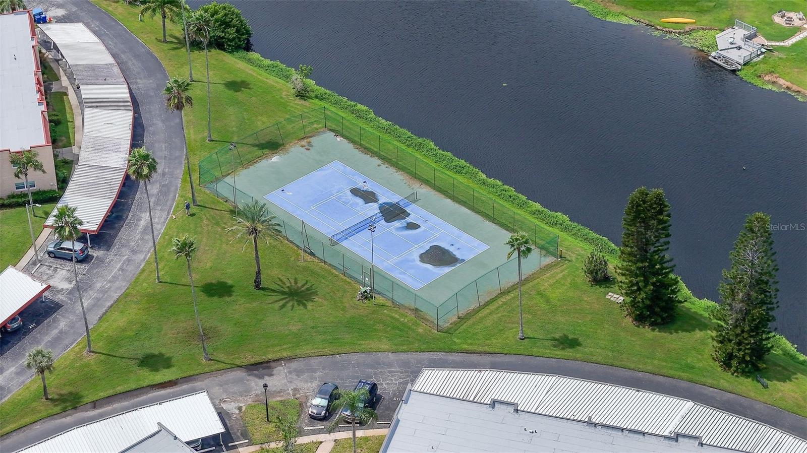 Pickleball Court