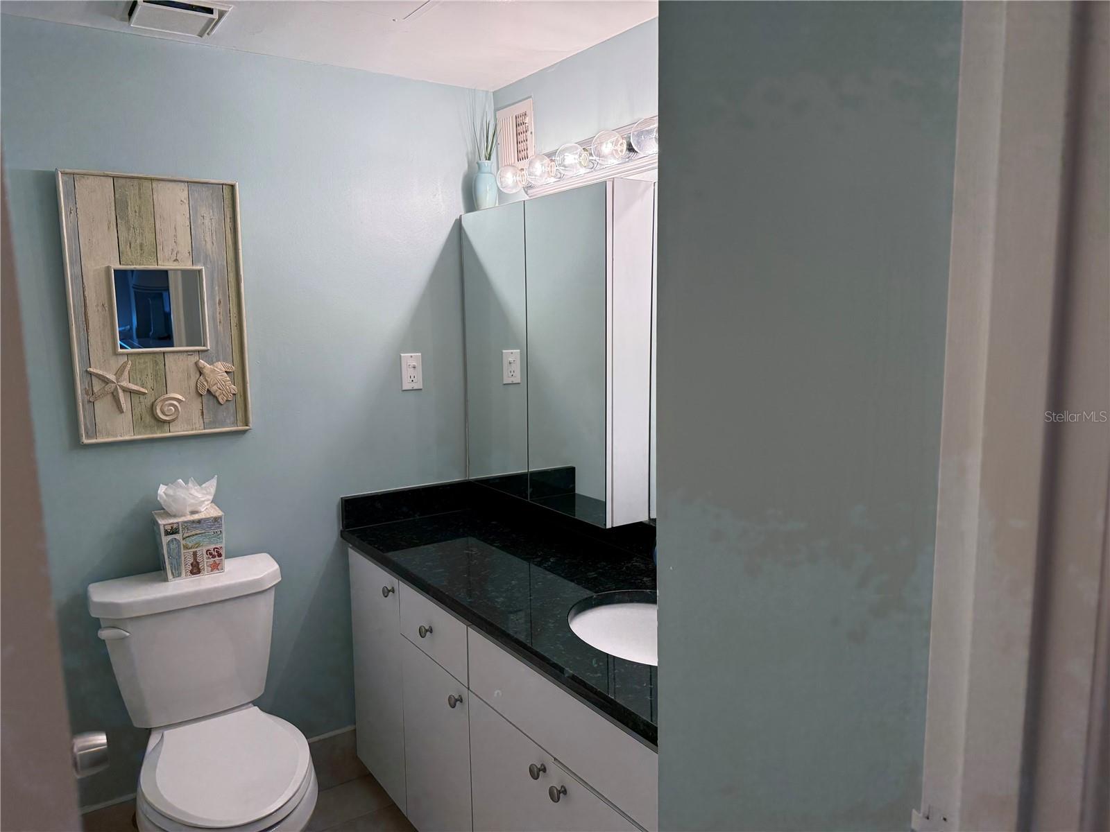 Guest Bath