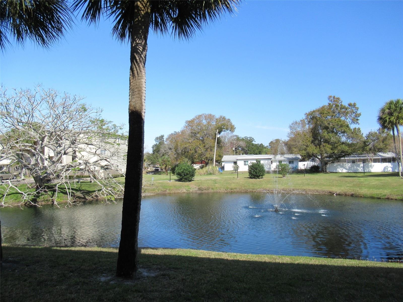 Pond
