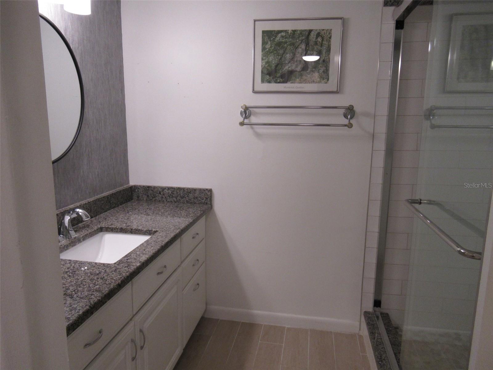 Bath Vanity and Custom Shower