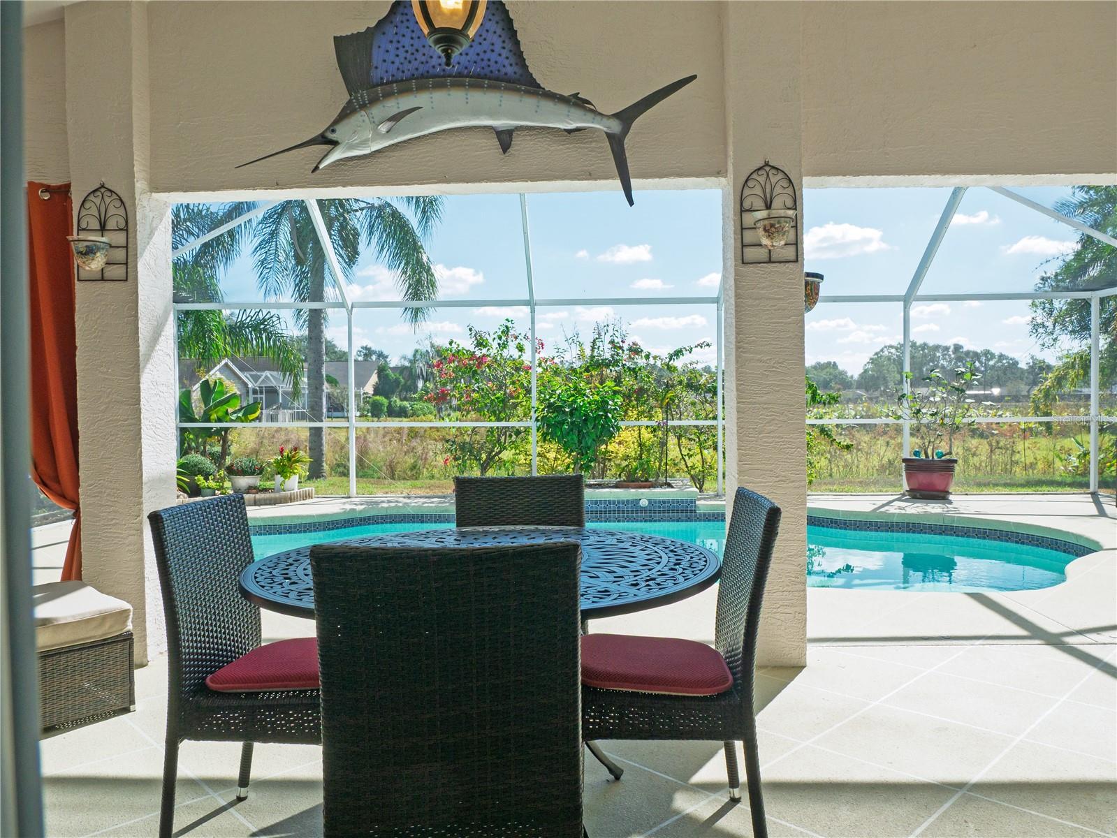 Screened in Pool Enclosure