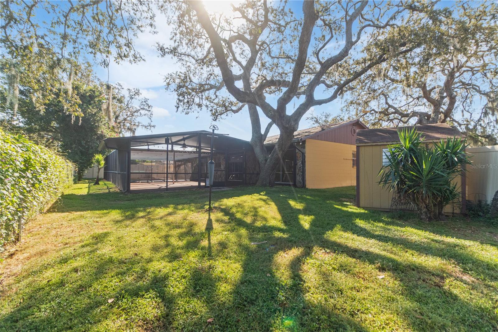 Backyard of home