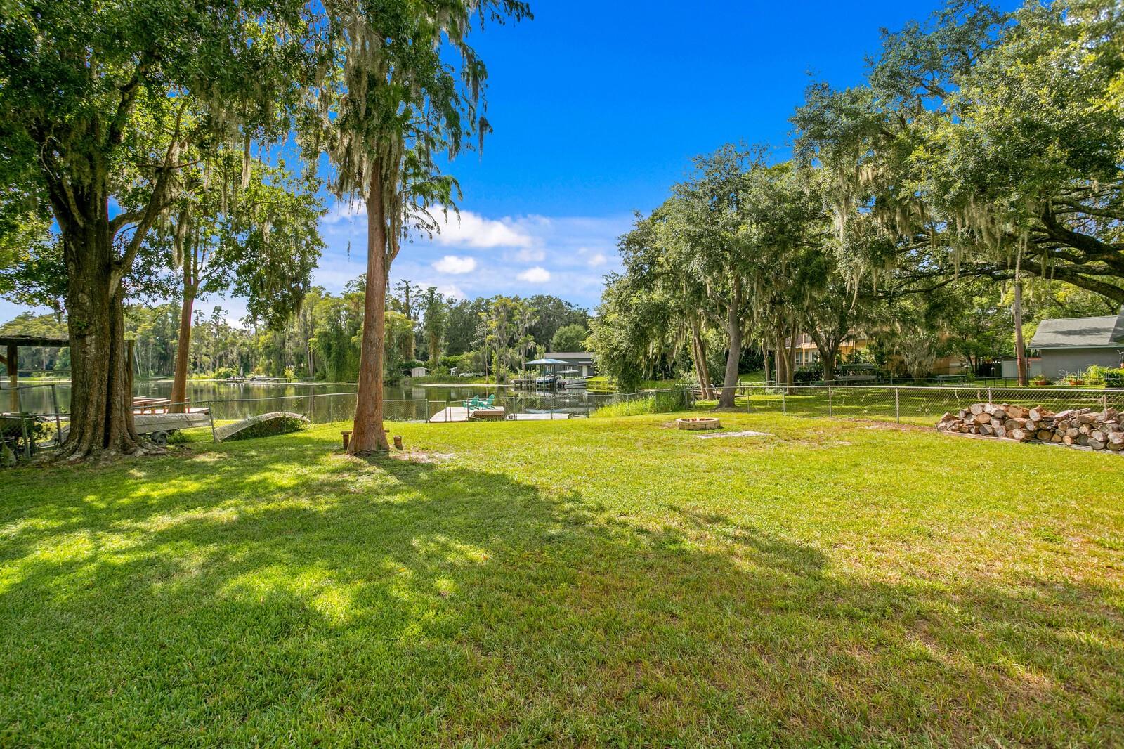 Large backyard