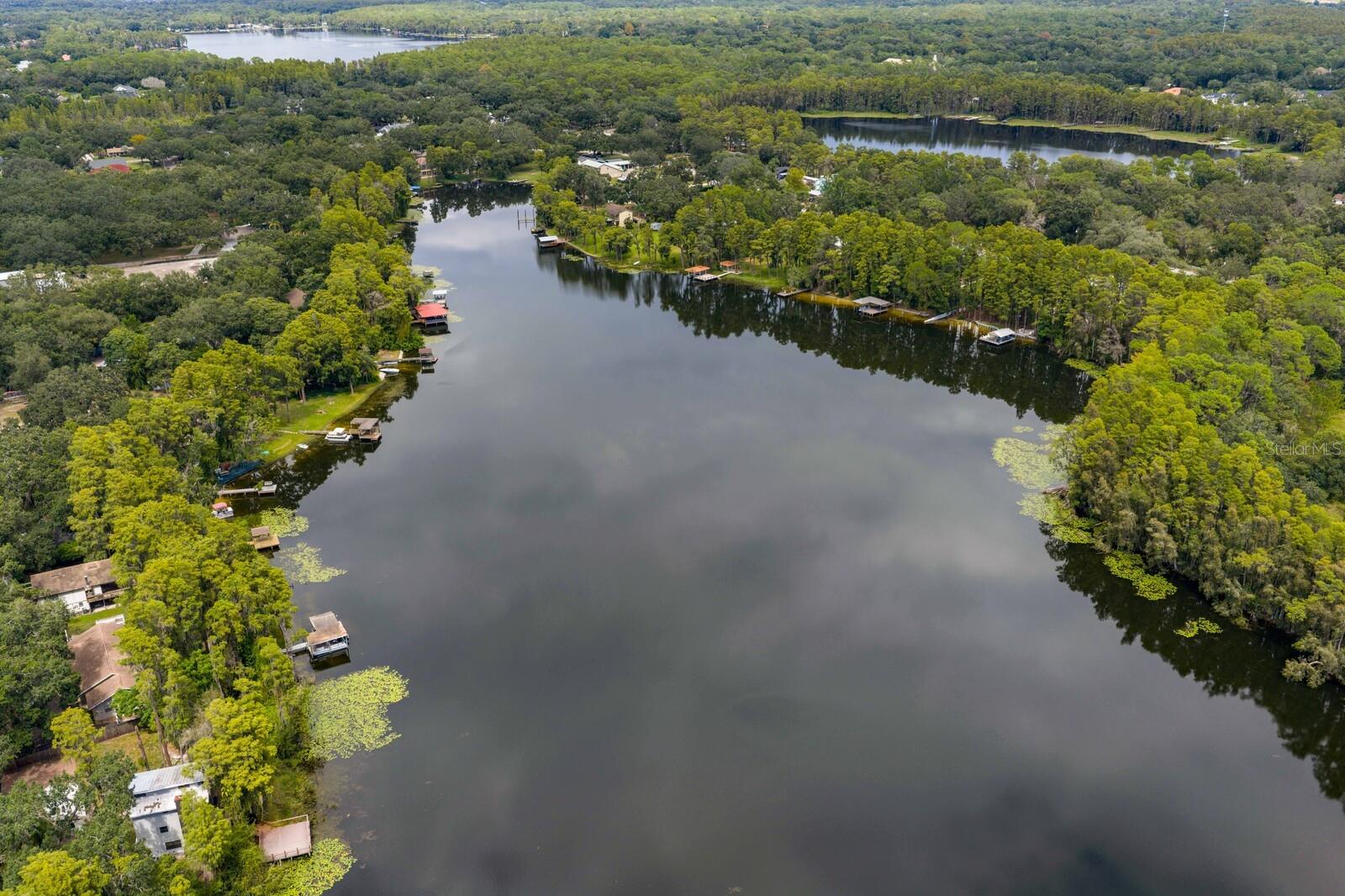 Views of Lake Wood