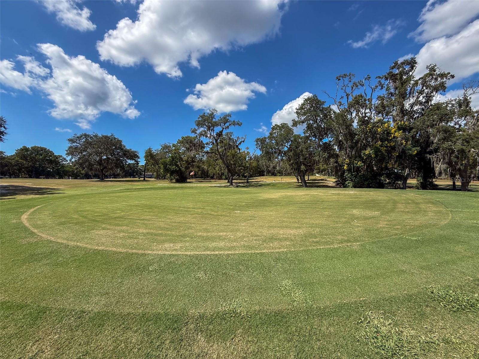 Eighth Green