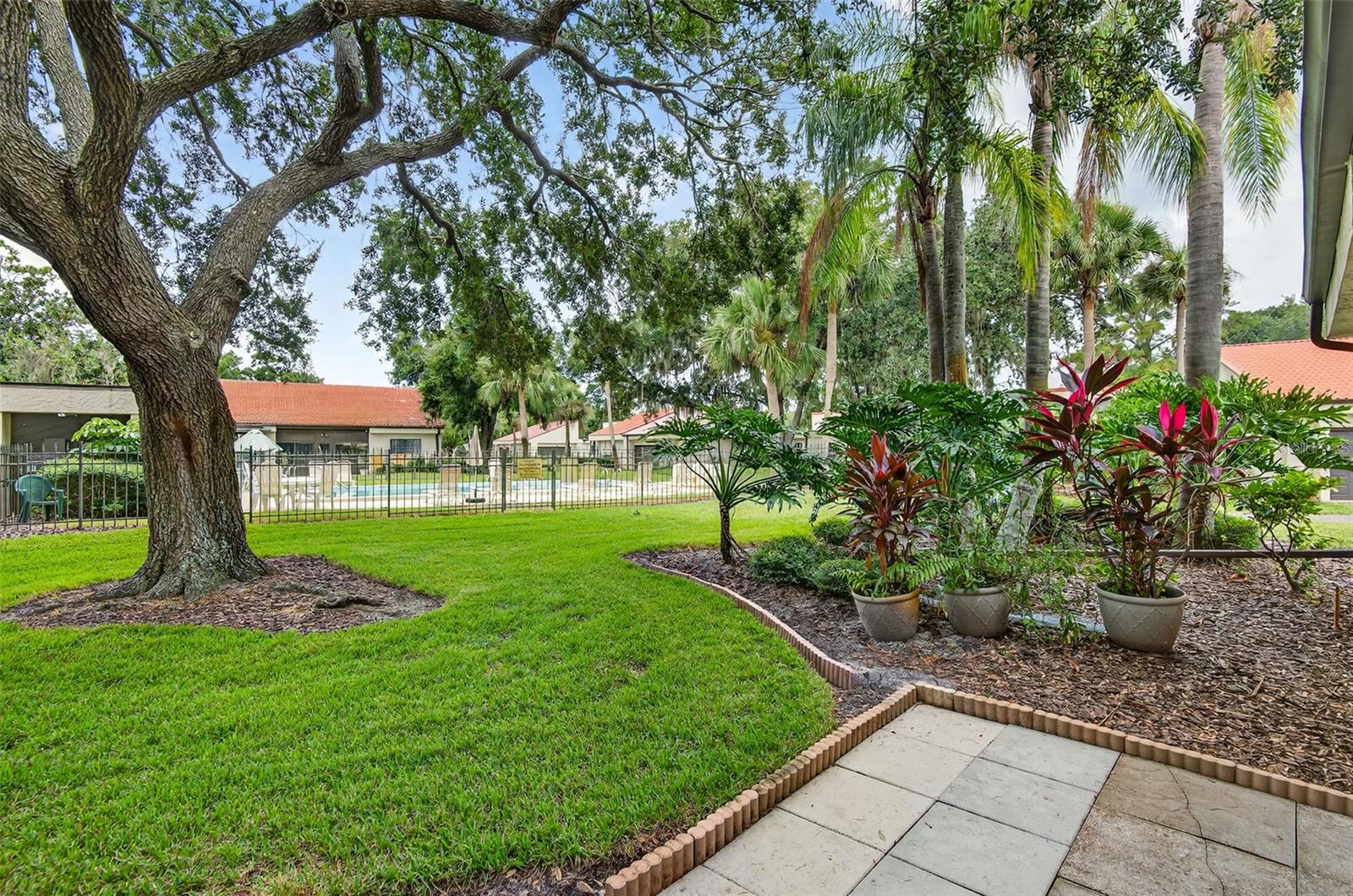 Rear Patio Views